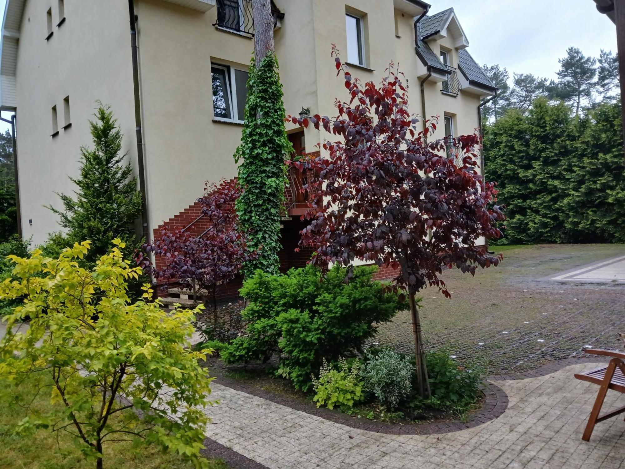 Dom Goscinny Przy Lesie Pobierowo Exterior photo